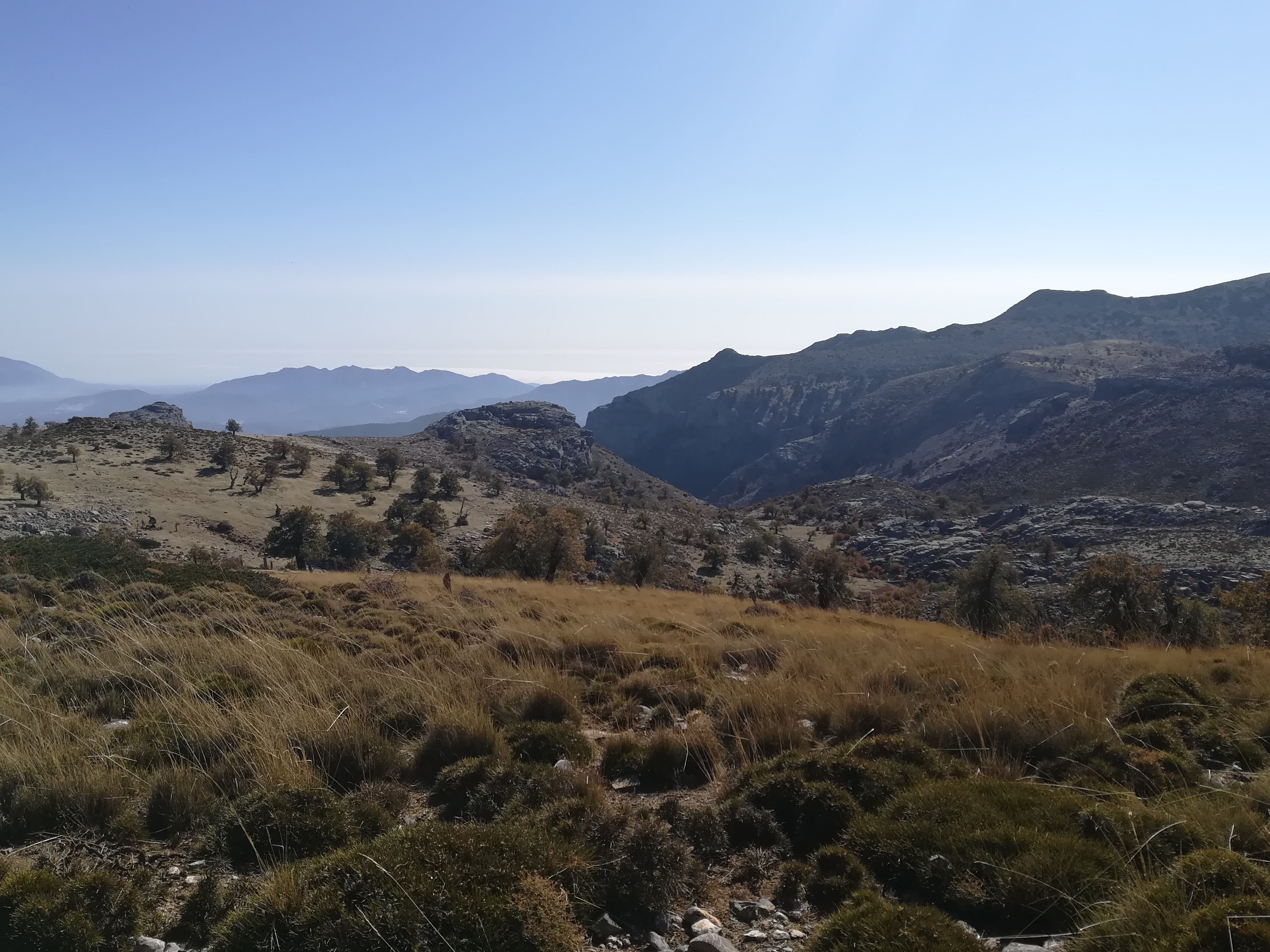 Sierra de las Nieves