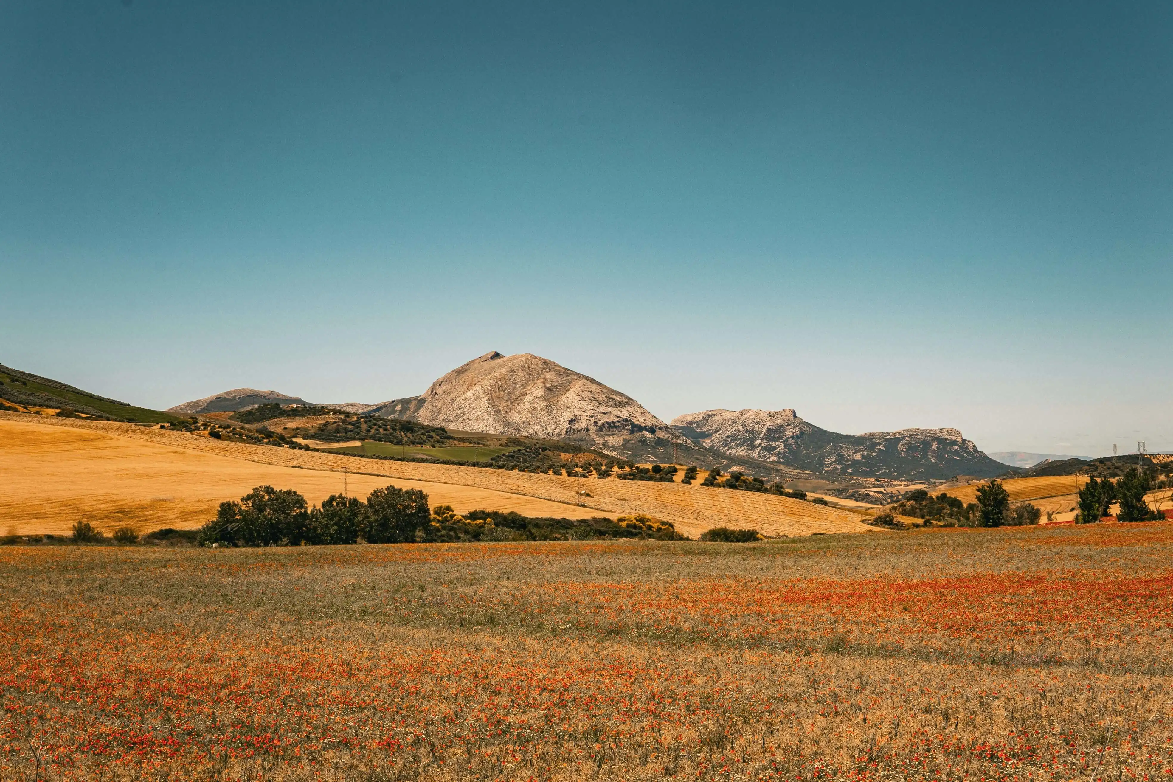 Fondo Slow Andalusia